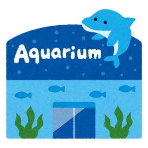 aquarium-shop