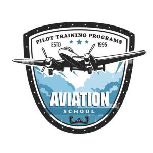 pilot-training-institutes