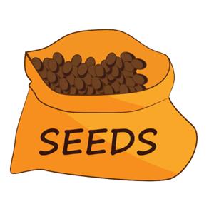 seeds-shop